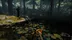 اکانت قانونی THE FOREST برای  PS5 و PS4